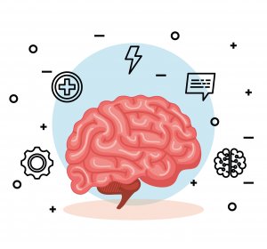 health brain with creative mind and intelligence vector illustration