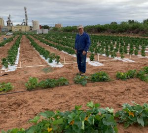 Man walking through farm